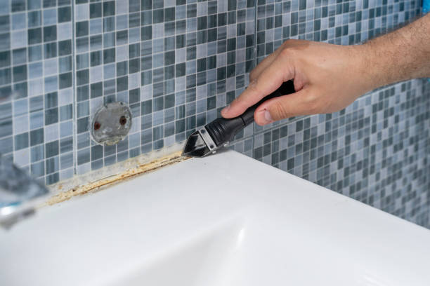 Best Localized Mold Remediation (e.g., coastal areas, humid climates) in Laurel, DE